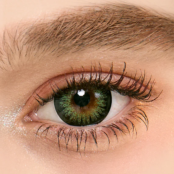 40% OFF Insane Black Friday Sale continues!